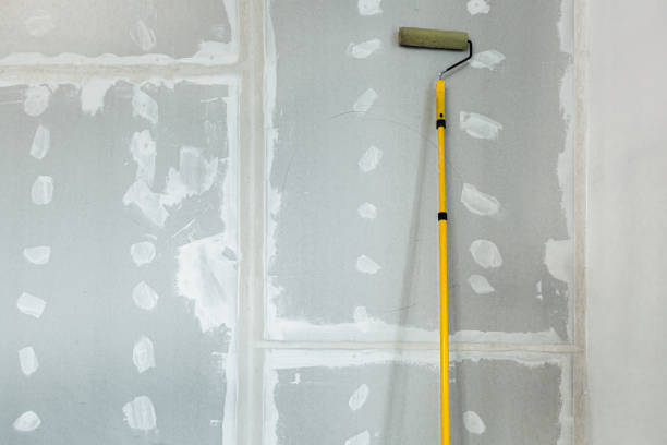 Best Water Damage & Mold Remediation  in Walterboro, SC