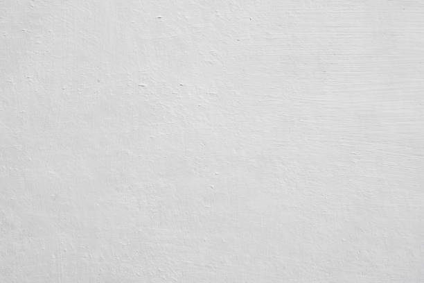 Mold Remediation for Vacation Homes in Walterboro, SC