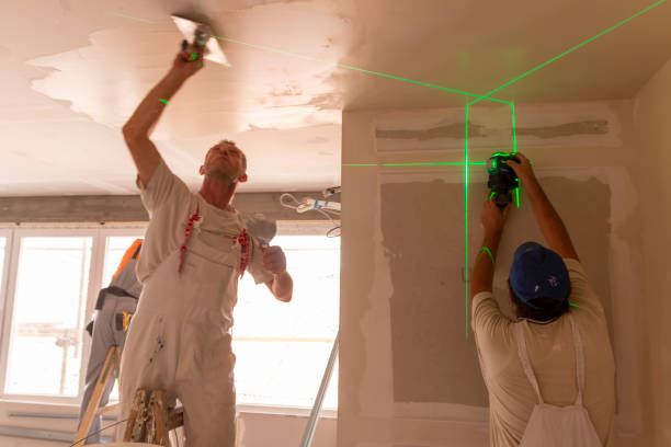 Best Attic Mold Removal  in Walterboro, SC