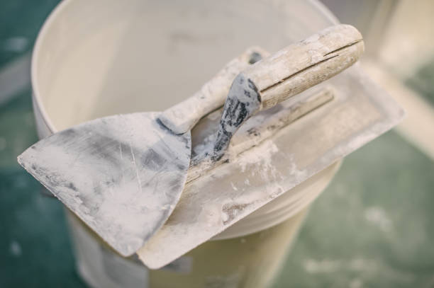 Best Asbestos and Lead Testing During Mold Inspection  in Walterboro, SC